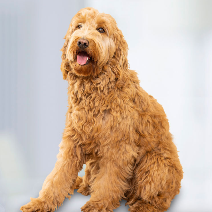 maetzekoenig_mitarbeiter_frieda_koenig_test